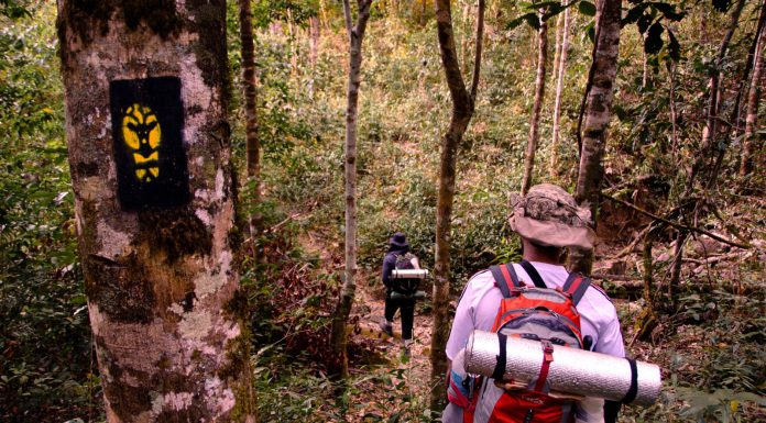 1º de Março: Dia do Ecoturismo, a data que nos lembra da importância de preservar a natureza enquanto exploramos