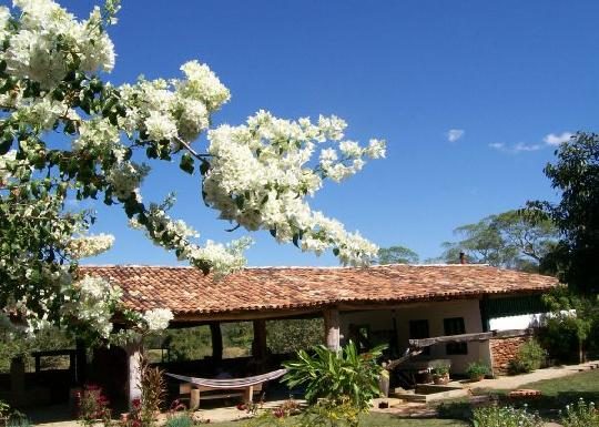 Fazenda Babilônia: Mais de 200 Anos de história e cultura – seu próximo destino em Goiás