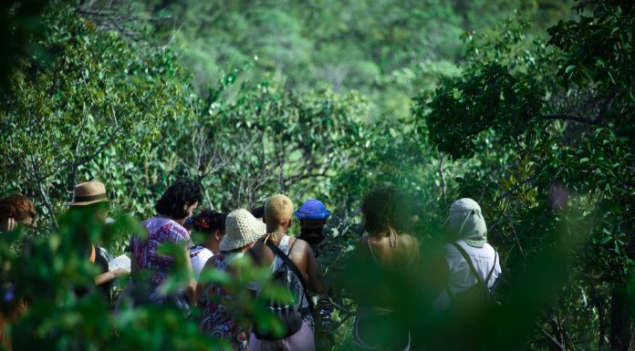 Raízes 2025 leva mestres dos saberes tradicionais a Alto Paraíso e São Jorge; confira a programação completa do encontro