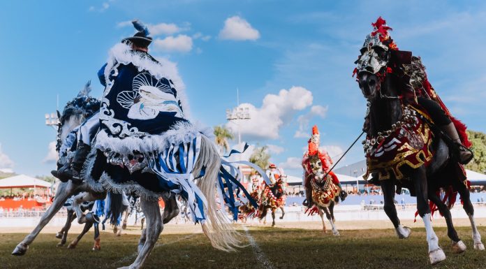 Cavalhadas 2025: Tradição, cavalos e muita fé invadem Goiás; veja a programação Cavalhadas 2025: Tradição, cavalos e muita fé invadem Goiás; veja a programação