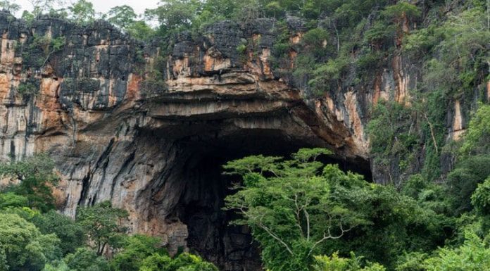 Parque Estadual de Terra Ronca: O Roteiro Completo para Suas Férias de Ecoturismo em Goiás