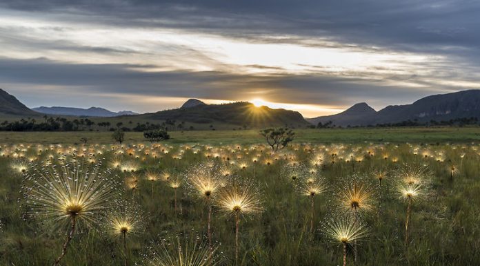 Jardim de Maytrea: O portal místico e cartão-postal da Chapada dos Veadeiros