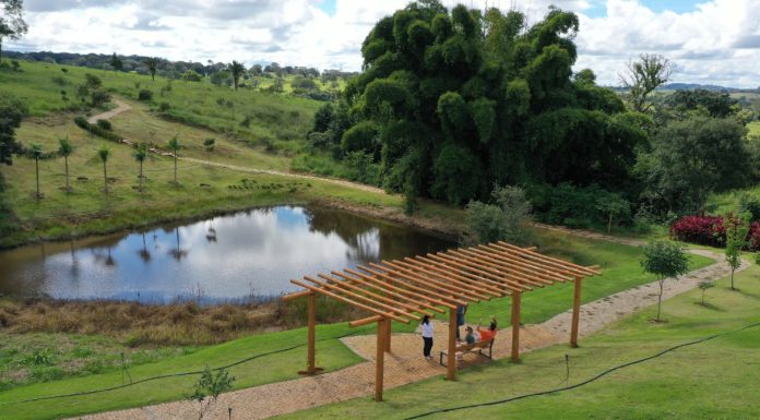 Parque Cultural Florata: refúgio de natureza e arte a poucos minutos de Goiânia
