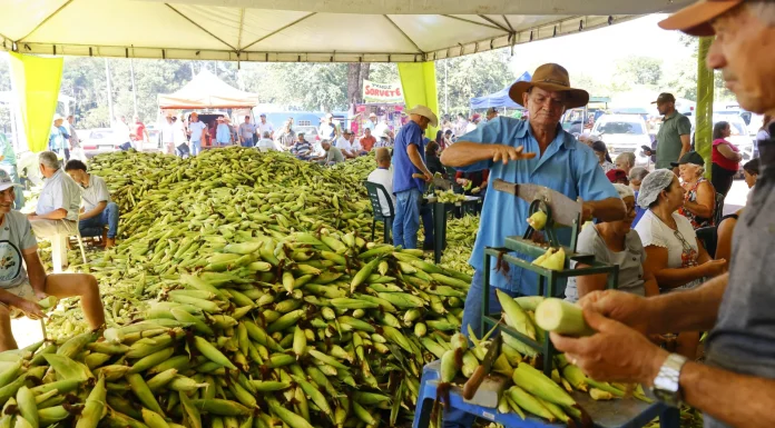 Maior pamonhada do mundo transforma Jesúpolis em destino gastronômico neste sábado