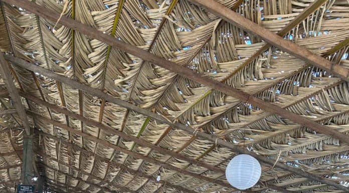 Estrelas do Araguaia 2026 celebra 23 anos com programação ampliada no Vale do Araguaia