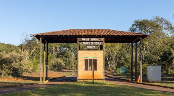Parque a poucos quilômetros de Goiânia reúne trilhas, natureza e paisagens do Cerrado