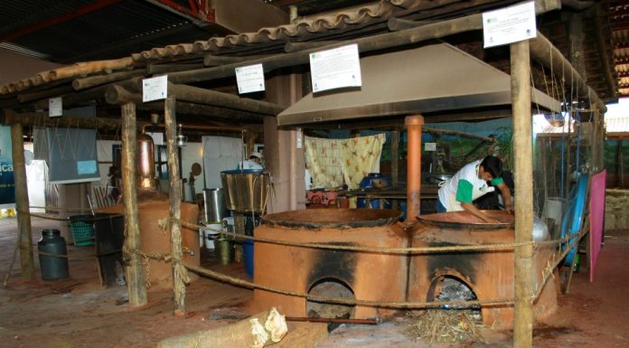 Museu escondido dentro da Pecuária de Goiânia preserva memórias do campo goiano há 20 anos