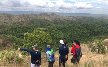 Caminhos do Planalto Central ligam o Cerrado de Formosa a Brasília numa rota de 400 km