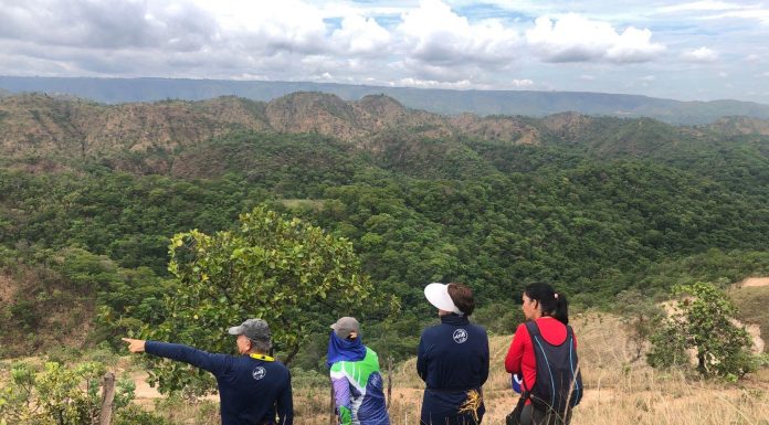 Caminhos do Planalto Central ligam o Cerrado de Formosa a Brasília numa rota de 400 km