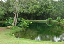 Lago Azul, em Vila Propício, encanta com nascente cristalina e água de até sete metros