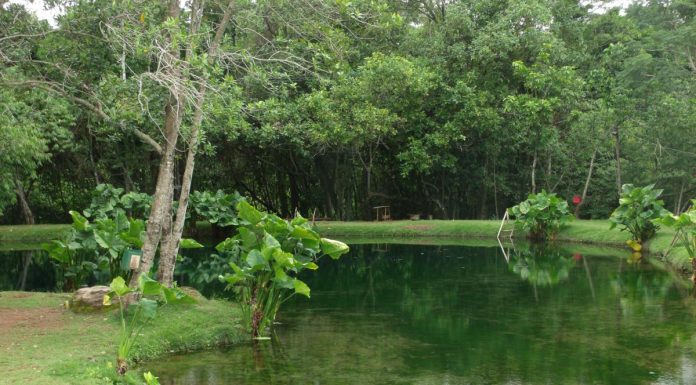 Lago Azul, em Vila Propício, encanta com nascente cristalina e água de até sete metros